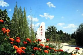 寺外有桃源，丘陵藏芬芳