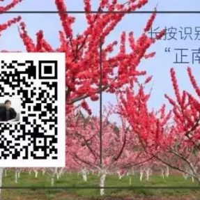 川北民間傳統(tǒng)文化紀錄片《川北舊事》第十七集 —《 打夯號子》