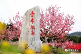 寺外桃源旅游風(fēng)景區(qū)給大家拜年啦！